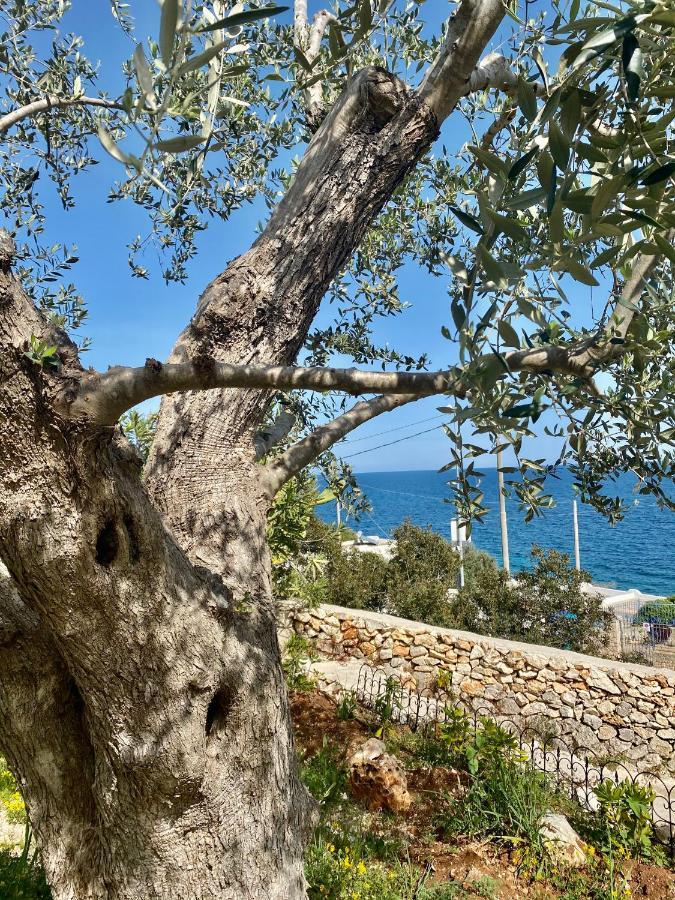 Stone Home - Sea & Landscape ماريتيما المظهر الخارجي الصورة